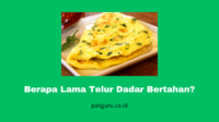 Berapa Lama Telur Dadar Bertahan?