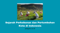 Sejarah Perkebunan dan Pertumbuhan Kota di Indonesia