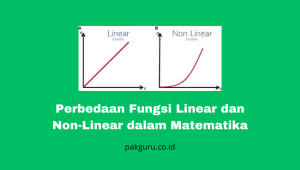 Perbedaan Fungsi Linear Dan Non-Linear Dalam Matematika - Pak Guru