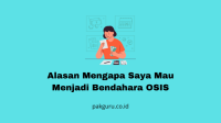 Bendahara OSIS