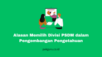 divisi PSDM