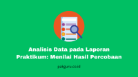 analisis data