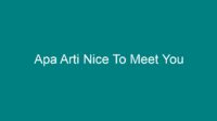 apa arti nice to meet you